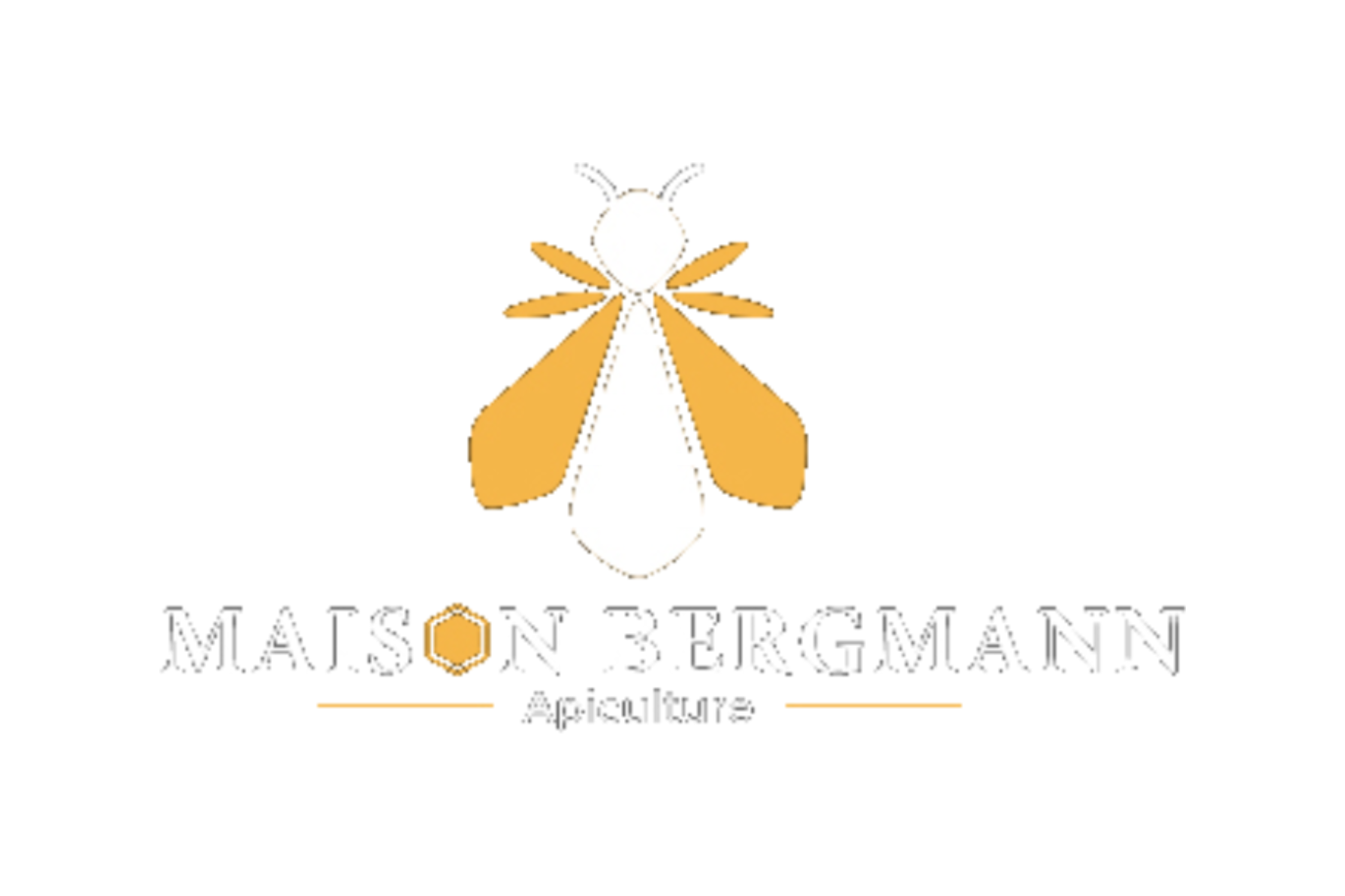 Maison BERGMANN